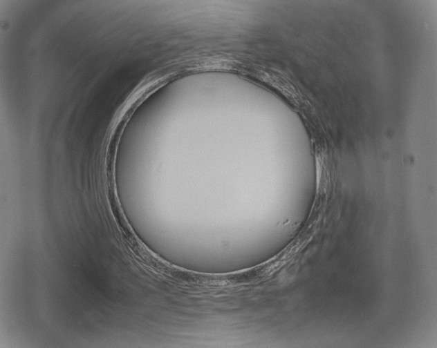 X0000080760195200612150942