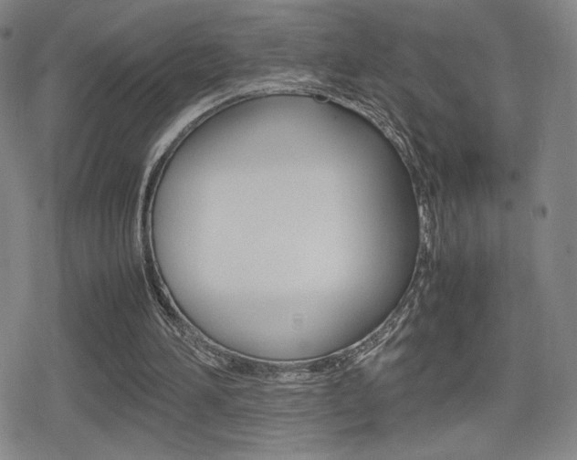 X0000080760196200612150942