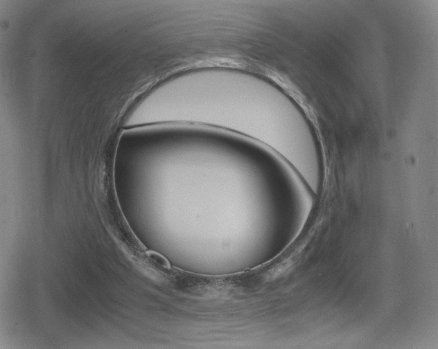 X0000080760201200612150942