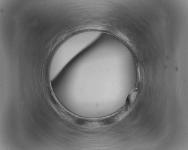 X0000080760205200612150942