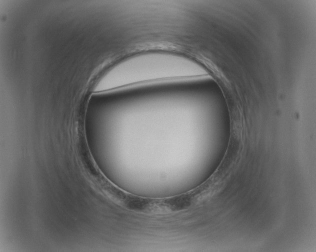 X0000080760207200612150942
