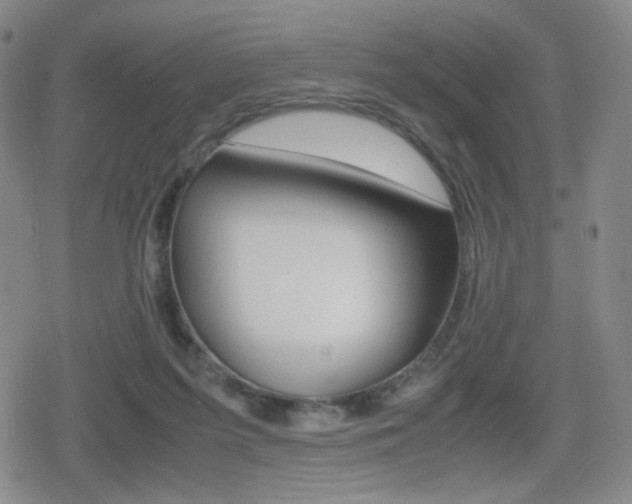 X0000080760215200612150942