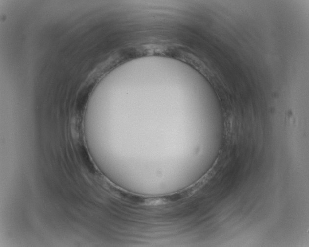 X0000080760218200612150942