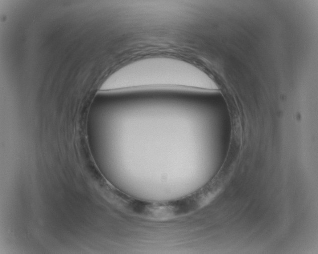 X0000080760221200612150942