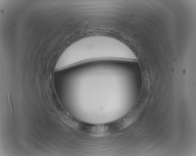 X0000080760225200612150942