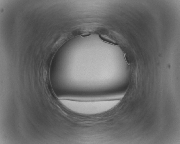 X0000080760227200612150942
