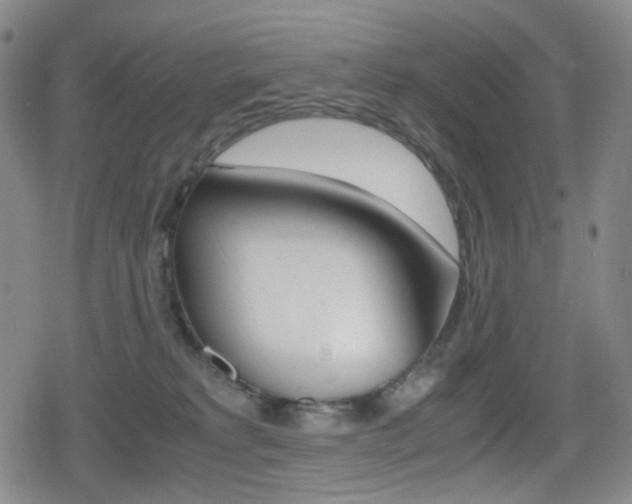 X0000080760229200612150942