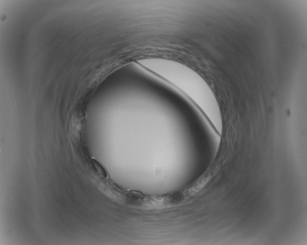 X0000080760235200612150942