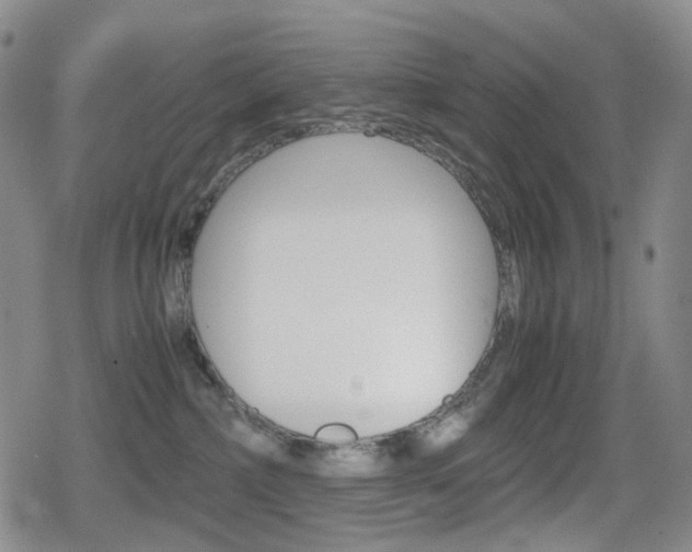 X0000080760236200612150942