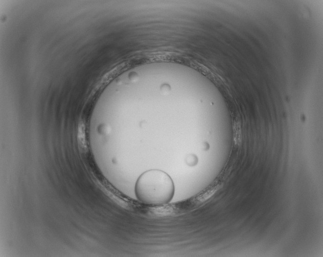 X0000080760238200612150942