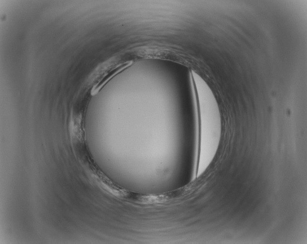 X0000080760239200612150942