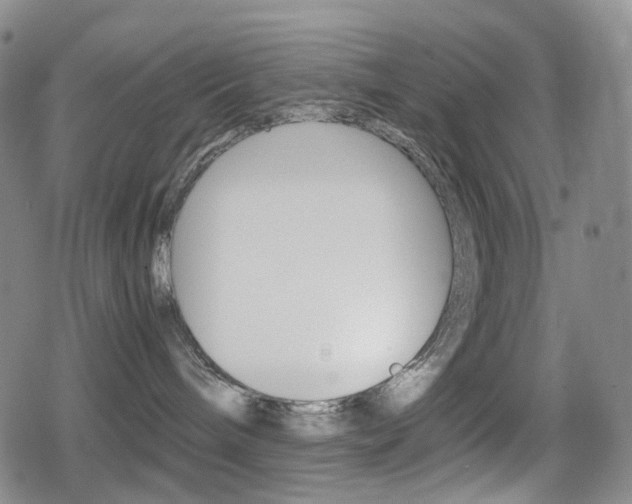 X0000080760240200612150942