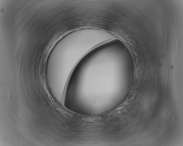 X0000080760241200612150941