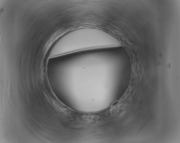 X0000080760242200612150941