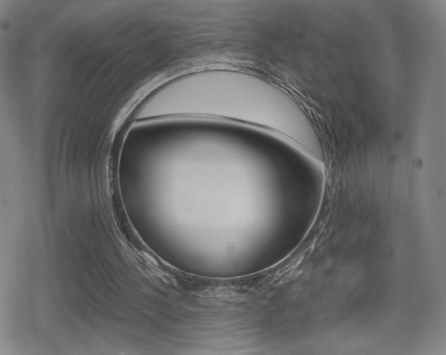 X0000080760244200612150941