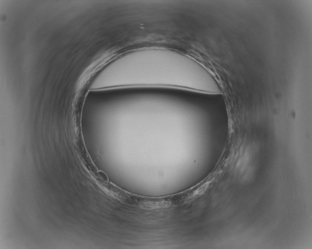 X0000080760245200612150941