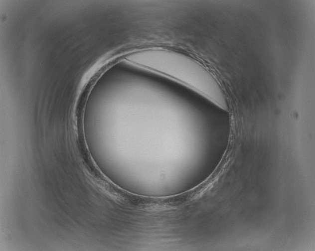 X0000080760246200612150941