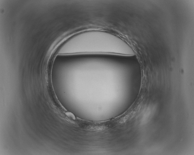 X0000080760247200612150941