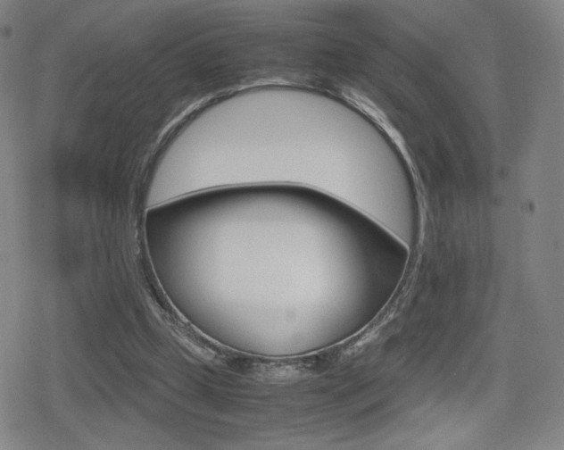 X0000080760249200612150941