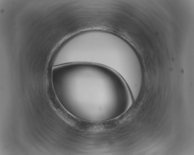 X0000080760252200612150941