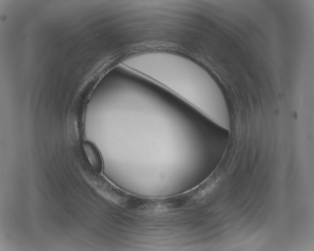 X0000080760254200612150941