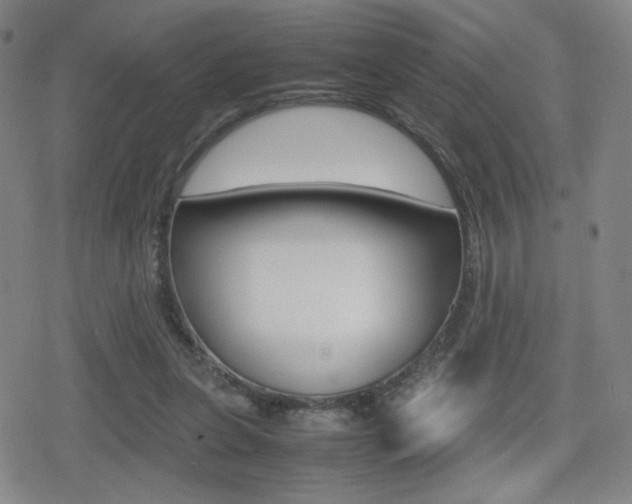 X0000080760255200612150941