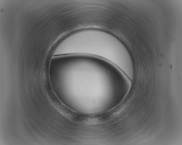 X0000080760256200612150941
