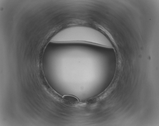 X0000080760257200612150941