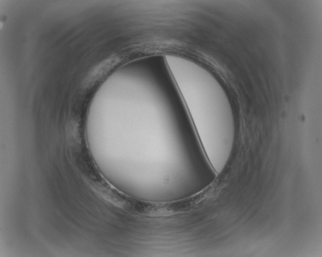 X0000080760258200612150941