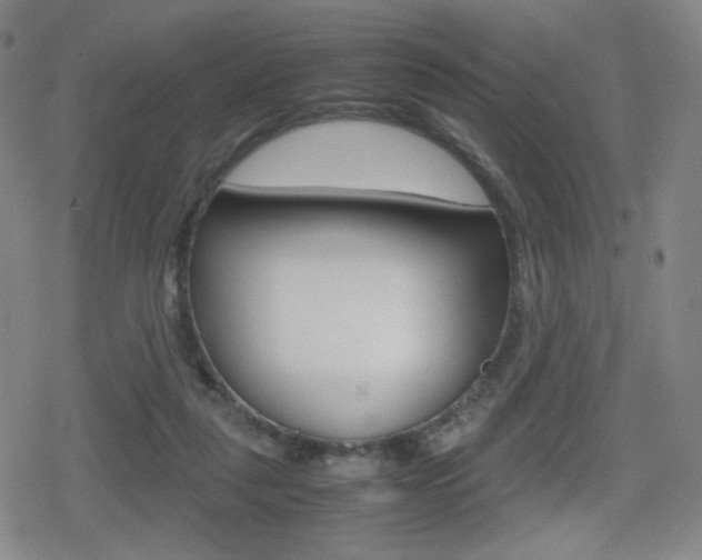X0000080760259200612150941