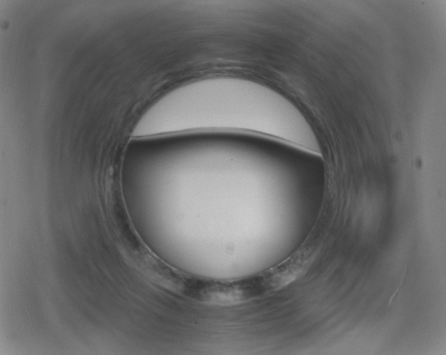 X0000080760263200612150941