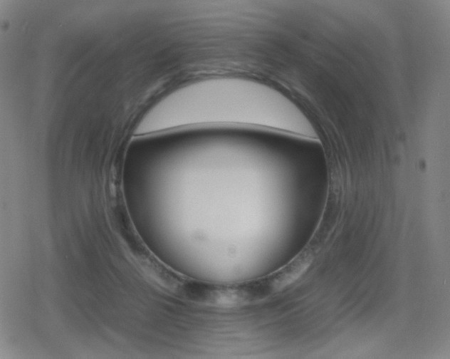 X0000080760264200612150941