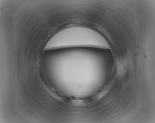 X0000080760265200612150941