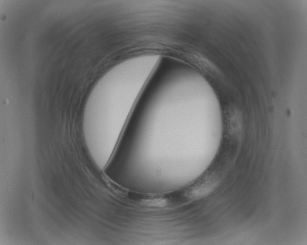 X0000080760266200612150941