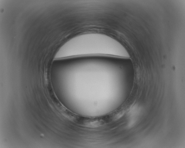 X0000080760267200612150941