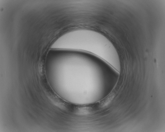 X0000080760268200612150941
