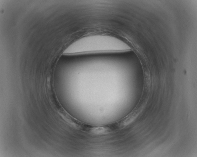 X0000080760269200612150941