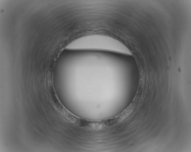 X0000080760272200612150941