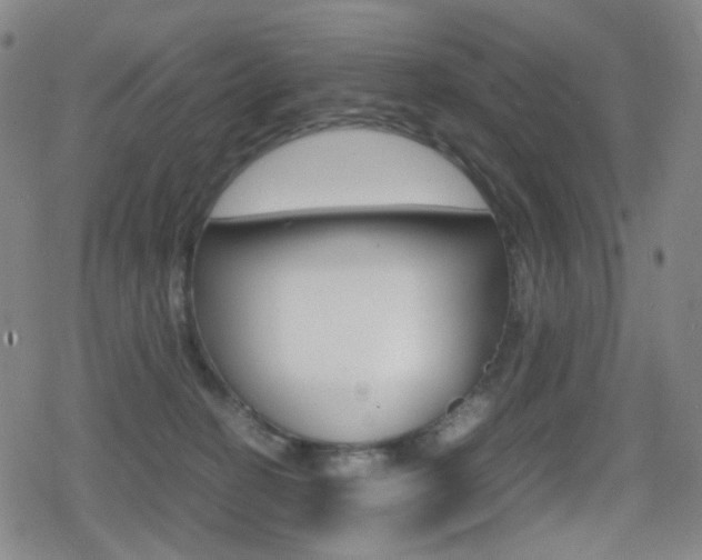 X0000080760274200612150941