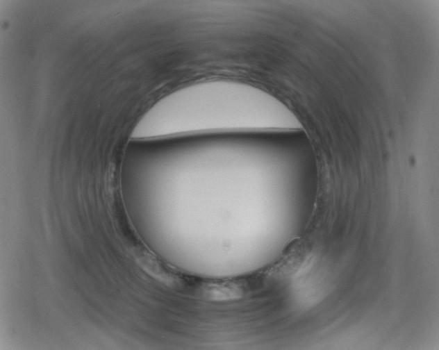 X0000080760275200612150941