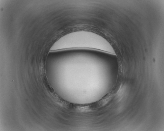 X0000080760283200612150941