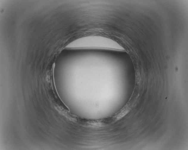 X0000080760284200612150941