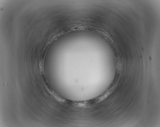 X0000080760285200612150941