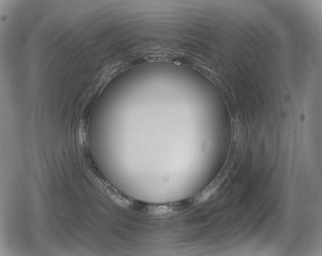 X0000080760287200612150941