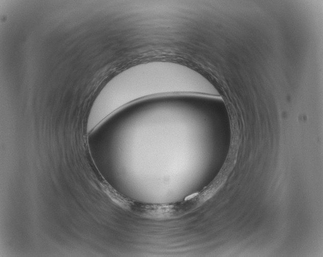 X0000080760288200612150942