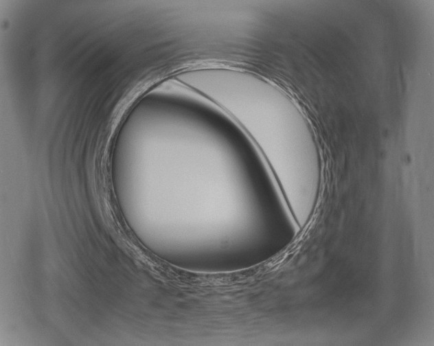 X0000080760289200612150941