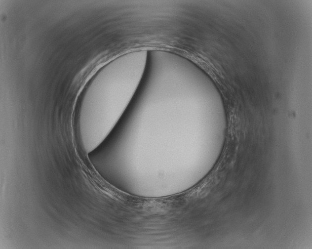 X0000080760290200612150941