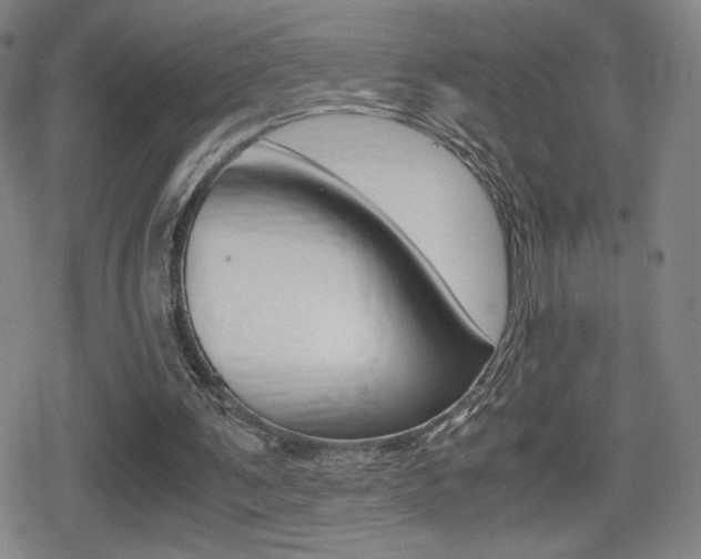 X0000080760291200612150941
