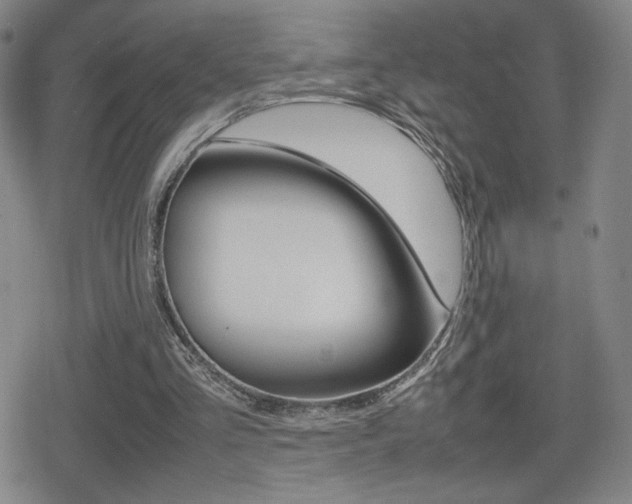 X0000080760293200612150941