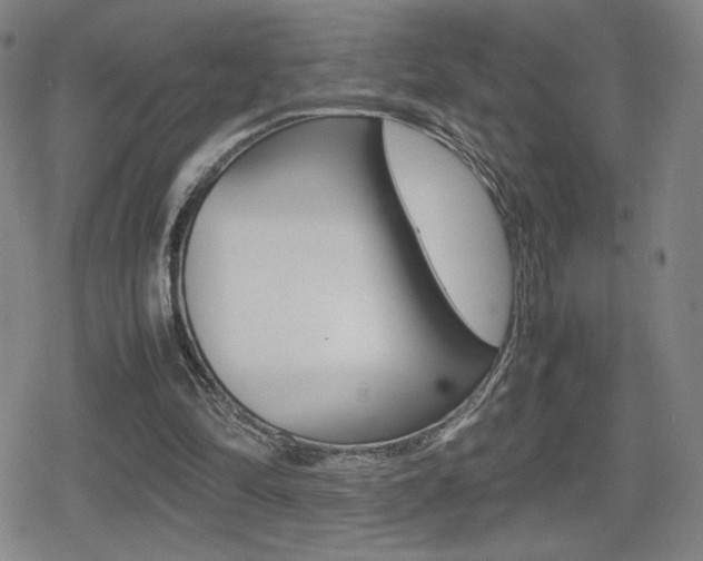 X0000080760294200612150941